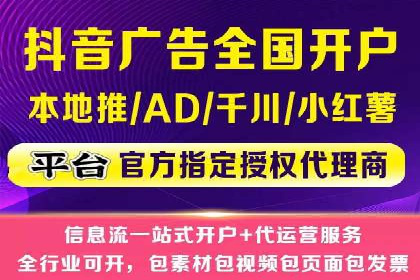 竞价托管服务案例解析
